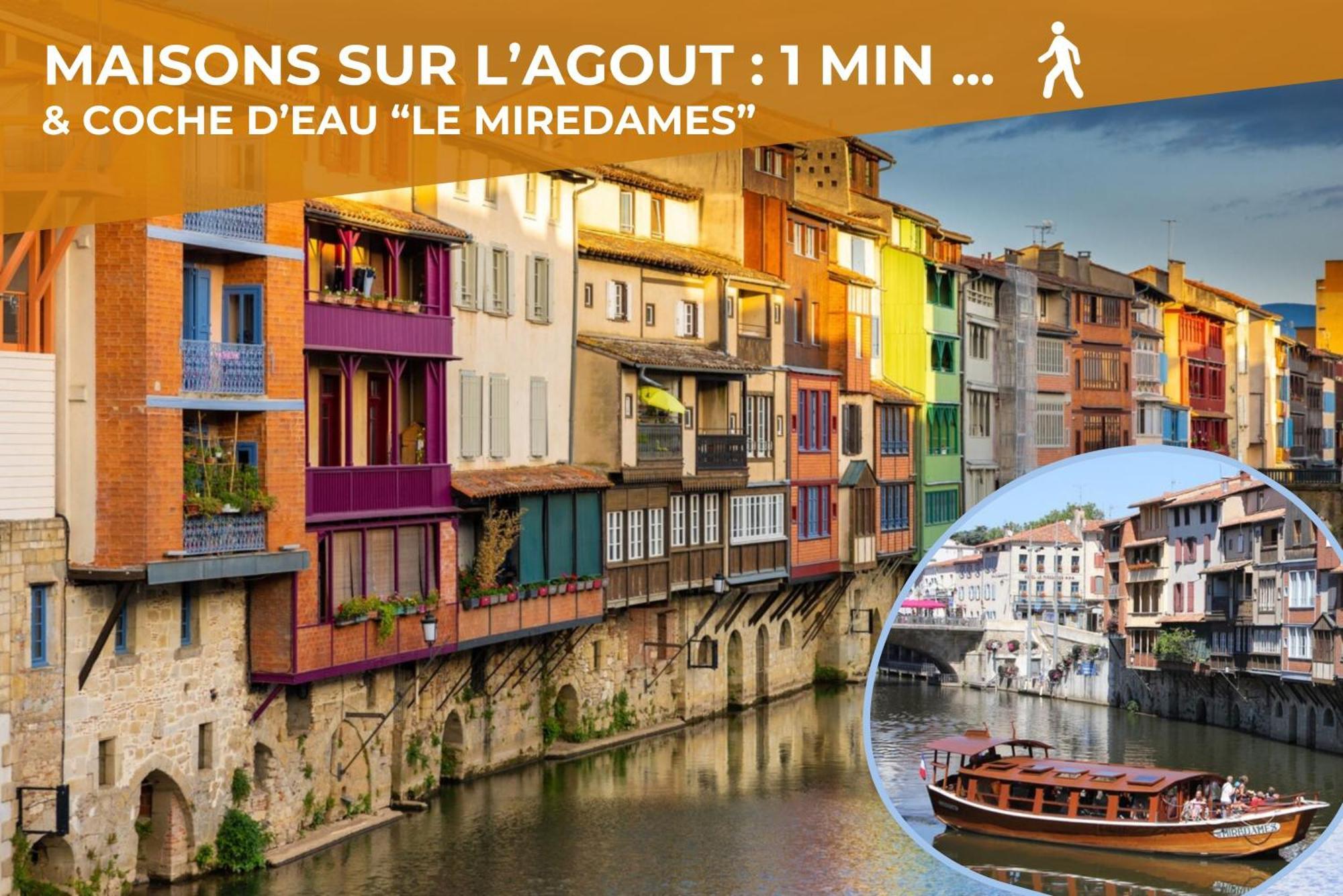 Le Canope - T3 Duplex, 2 Salles D'Eau, Hypercentre Кастр Экстерьер фото
